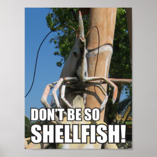 PÓSTER ¡NO SEAS TAN PESCADO! MEME