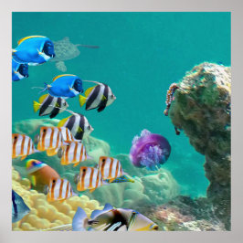 Póster No Sólo Los Peces Tropicales Viven En Los Arrecife