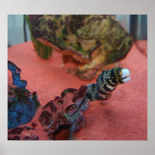 Póster ¡NO soy delgado!