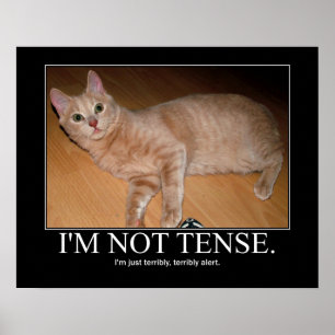 Póster No soy ilustraciones tensas del gato