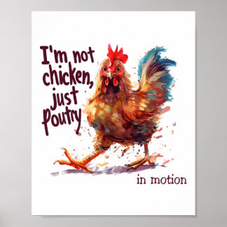 Póster No soy pollo, solo aves divertidas granja de gallo