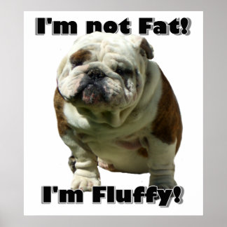 Póster No soy poster de bulldog gordo