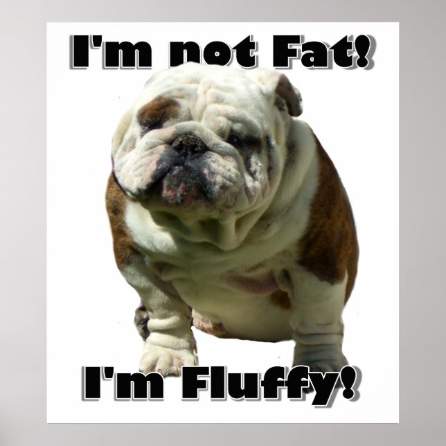 Póster No soy poster de bulldog gordo (Frente)