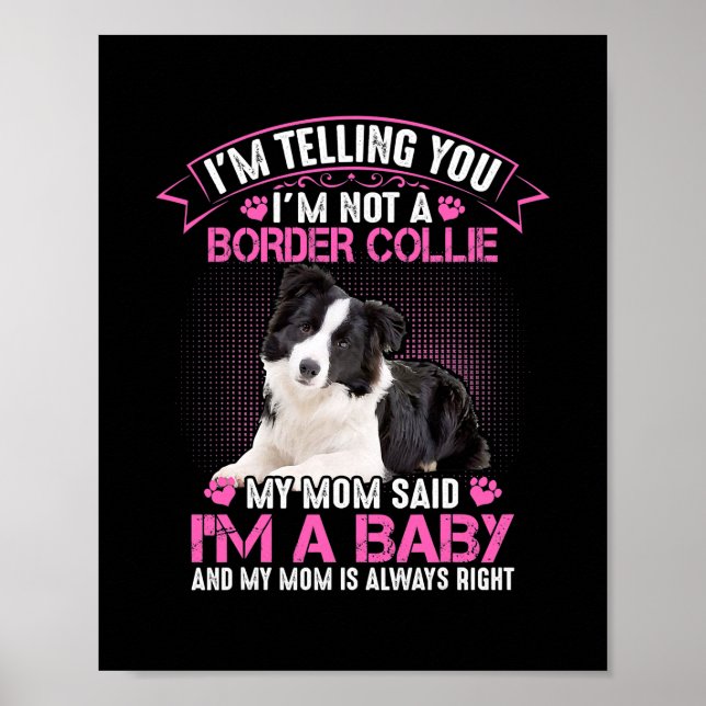 Póster No soy un compañero de frontera, mi mamá dijo que  (Frente)