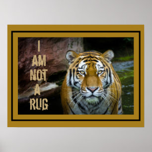 Póster No Soy Un Tigre De Rug Bengala