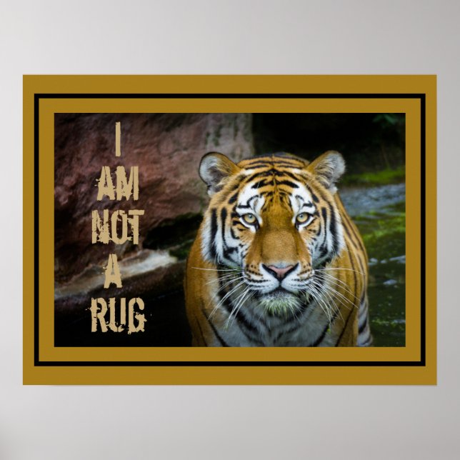 Póster No Soy Un Tigre De Rug Bengala (Frente)