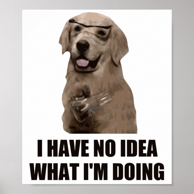 Póster No tengo idea de lo que estoy haciendo (Frente)