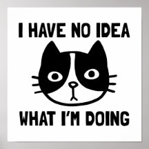 No tengo idea de lo que estoy haciendo gato