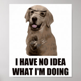 Póster No tengo ninguna idea qué estoy haciendo