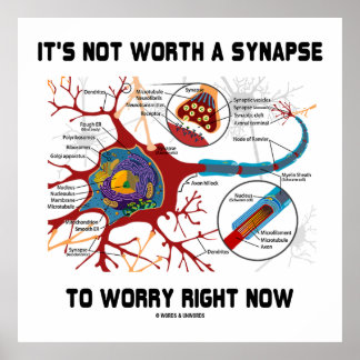 Póster No vale la pena preocuparse por Neuron
