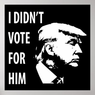 Póster No voté por Trump