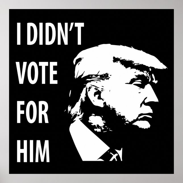 Póster No voté por Trump (Frente)