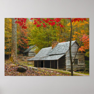 Póster Noah "Bud" Ogle Cabin in the Smokies