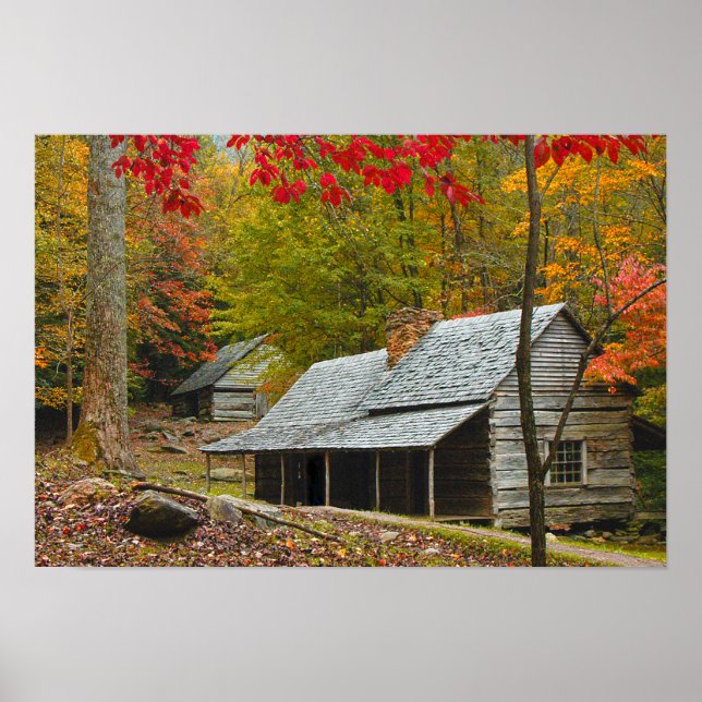 Póster Noah "Bud" Ogle Cabin in the Smokies (Frente)