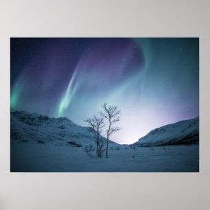 Póster Noche Aurora Borealis