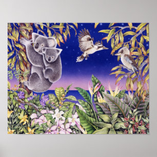 Póster Noche australiana
