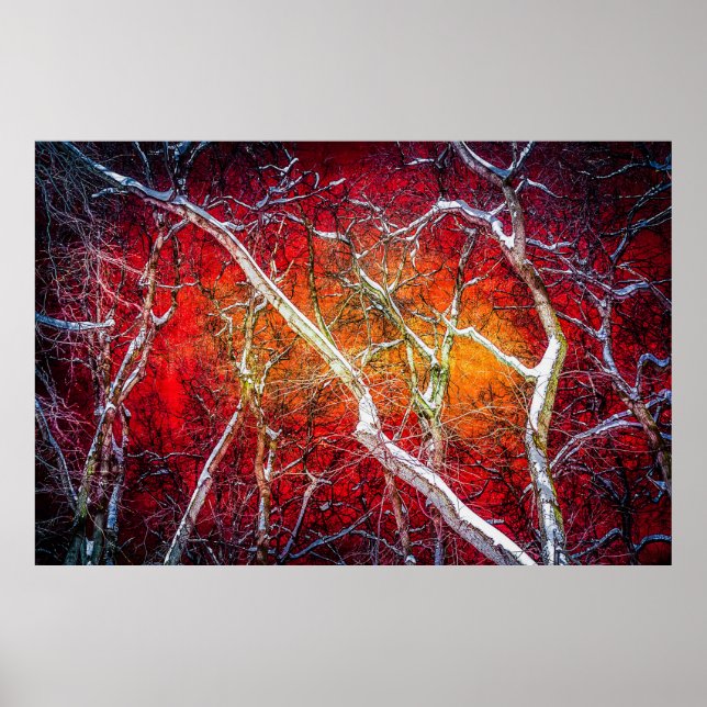 Póster Noche de invierno rojo (Frente)