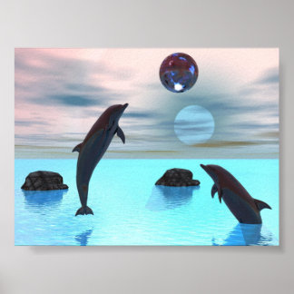 Póster Noche de los delfines
