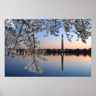 Póster Noche de primavera del monumento de Washington