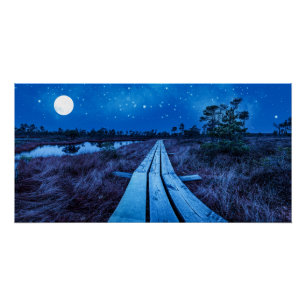 Póster Noche de swaps