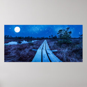 Póster Noche de swaps