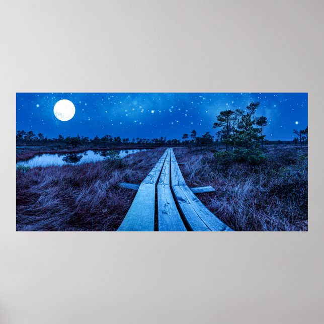 Póster Noche de swaps (Frente)