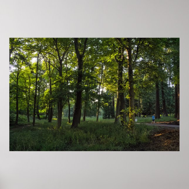 Póster Noche de verano, Bute Park, Cardiff (Frente)