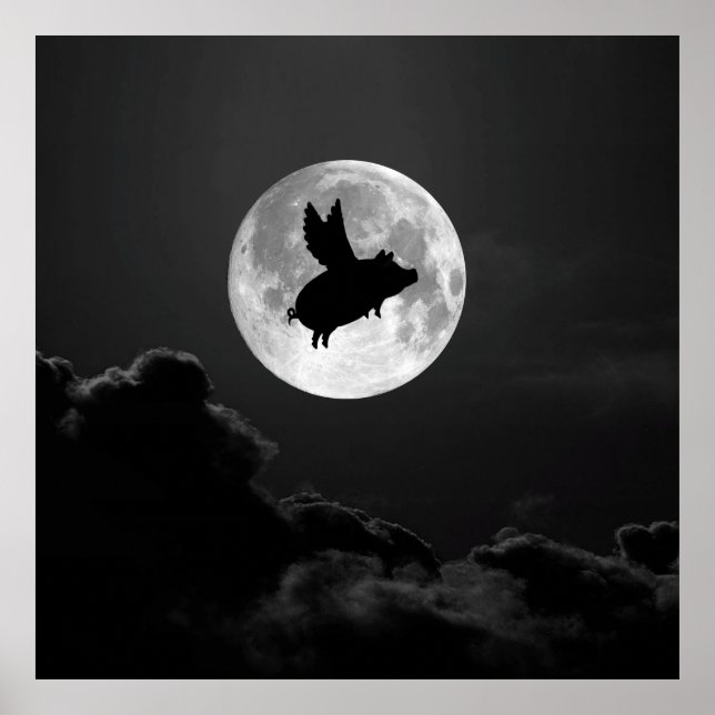 Póster noche del cerdo volador - poster de 20" x 24" (Frente)