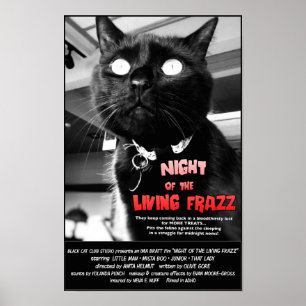 Póster ¡Noche del Frazz vivo! Poster de película de