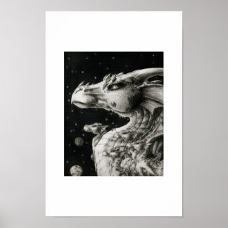 Póster Noche estrellada