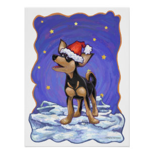 Póster Noche estrellada Chihuahua