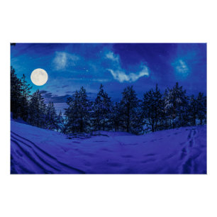 Póster Noche estrellada con luna llena en el bosque