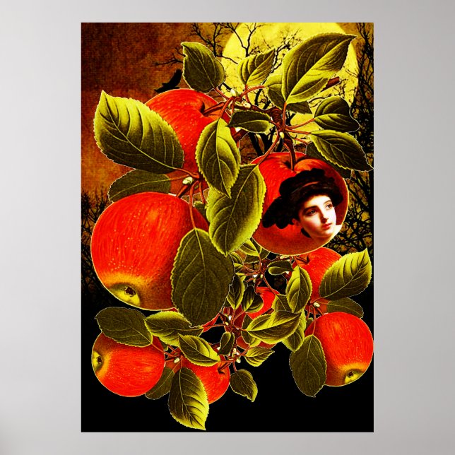 Póster Noche iluminada por la luna (Frente)