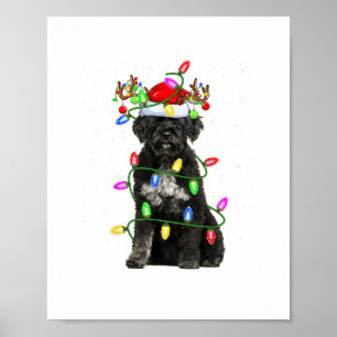 Póster Noche navideño alumbrando al perro de agua C de Sa