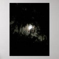 Noche oscura de Haunting