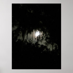 Póster Noche oscura de Haunting