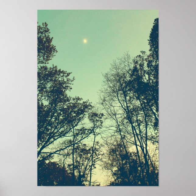 Póster Noche vintage de luna (Frente)