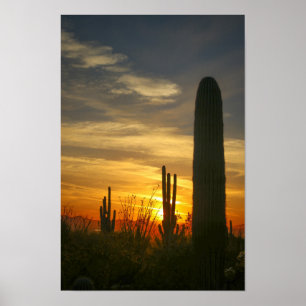 Póster Noches de desierto