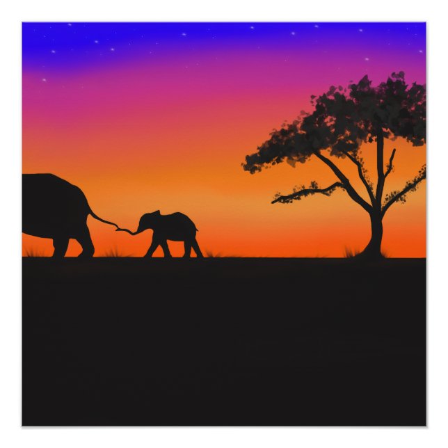 Póster Noches de Serengeti (Anverso)