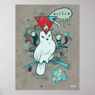 Póster Noctua
