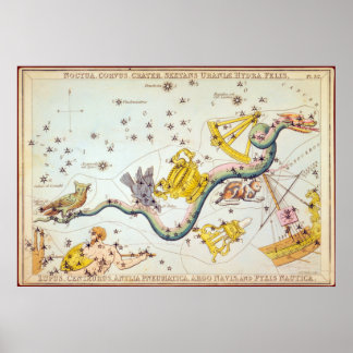 Póster Noctua, Corvus, Crater, etc.