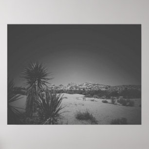 Póster Noir cinemático árbol Joshua blanco y negro