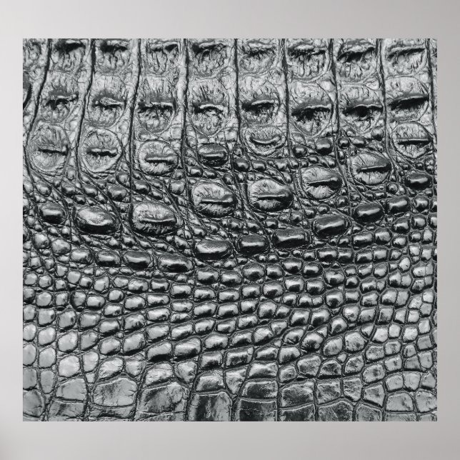 Póster Noir cocodrilo: Mistique de cuero negro (Frente)