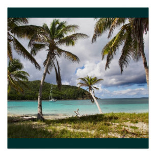 Póster Nombre de la naturaleza verde tropical de la playa