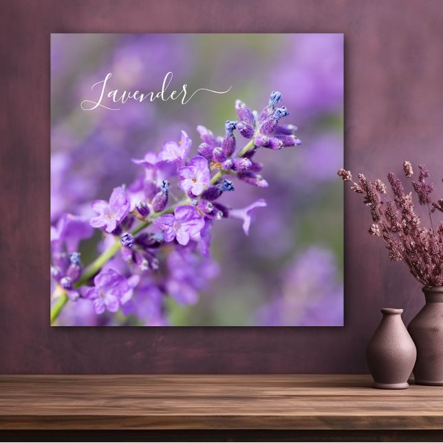 Póster Nombre de lavanda (Subido por el creador)
