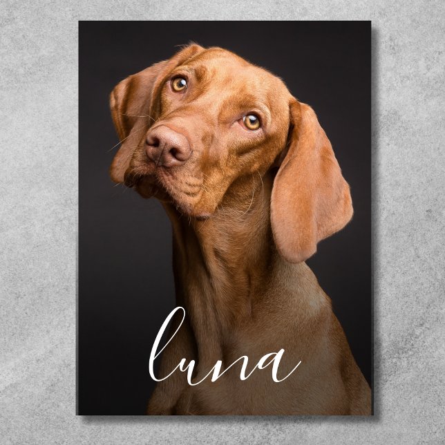 Póster Nombre personalizado de foto de perro mascota (Pet Photo Poster)