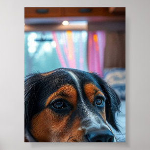 Póster Nombre: Sueños de Perro Dormido
