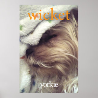 Póster Nombre y foto de Yorkie naranja