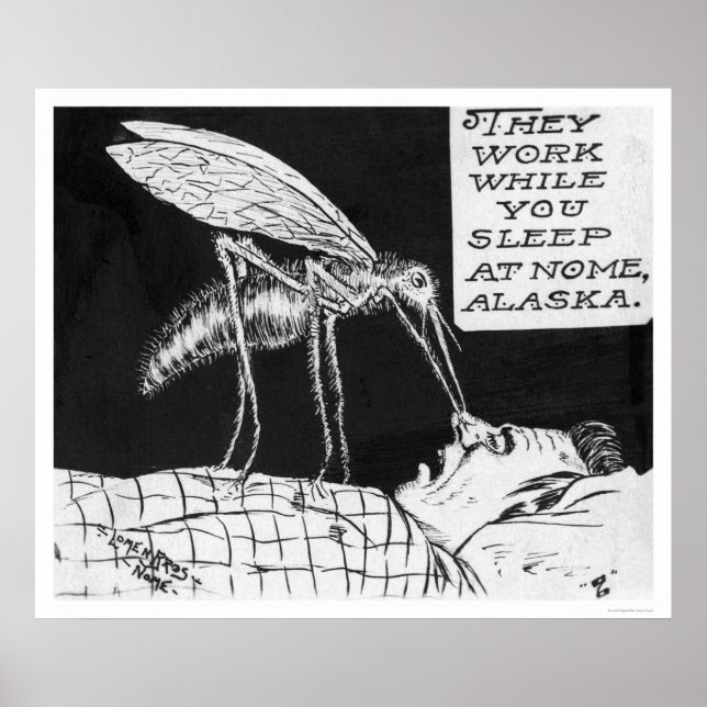 Póster Nome de los mosquitos gigantes 1926 (Frente)