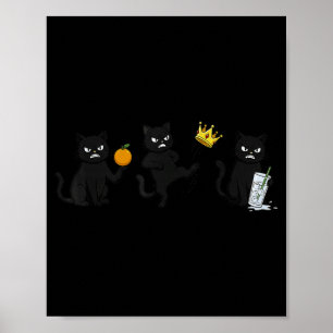 Póster Nope No Kings No ICE Gato Negro Divertido